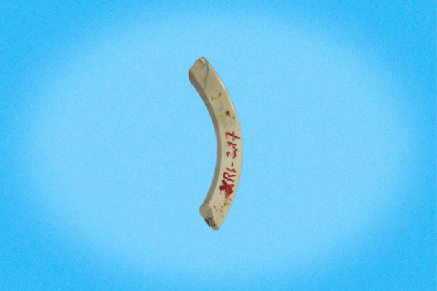 Mảnh vòng đá