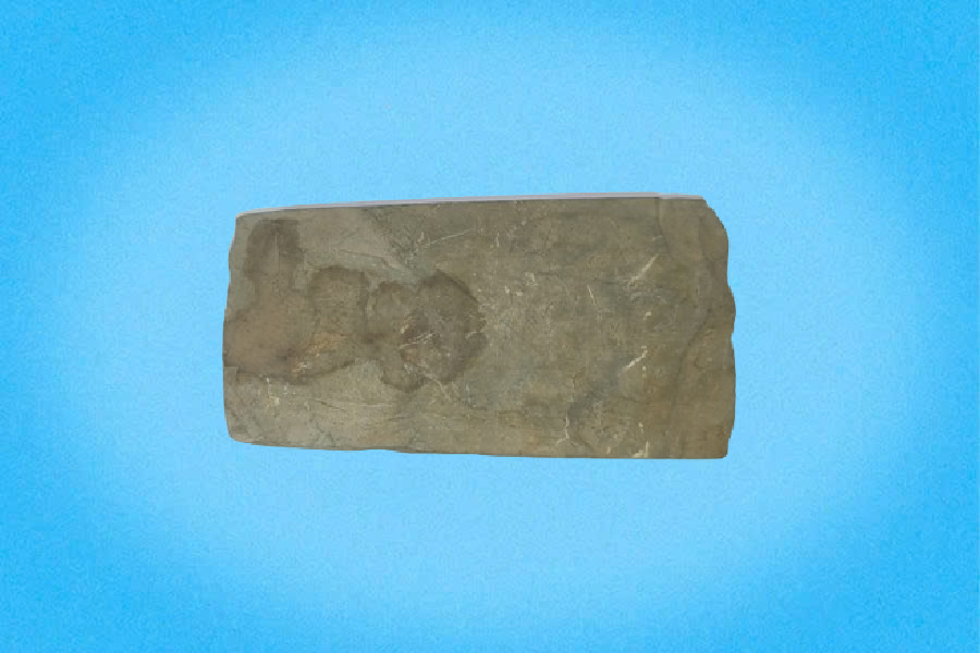 Đốc rìu đá