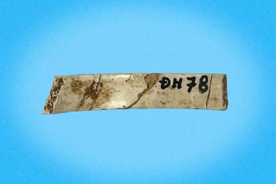 Mảnh vòng đá