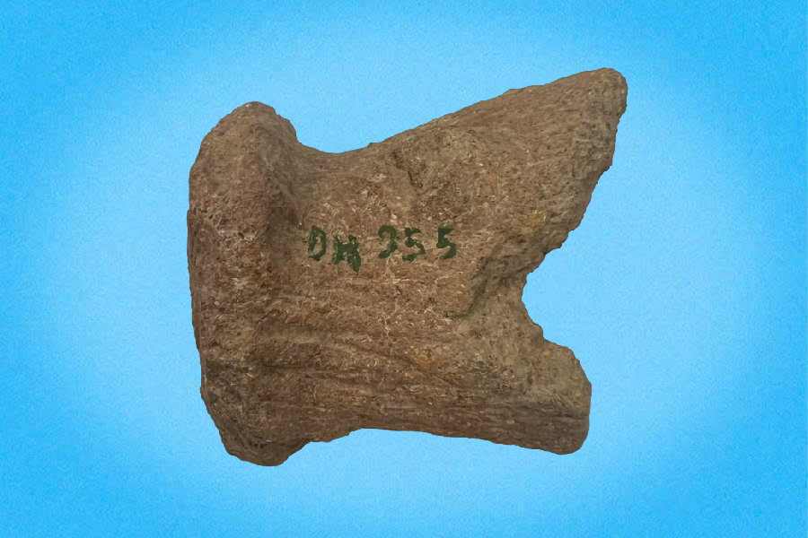 Chạc gốm