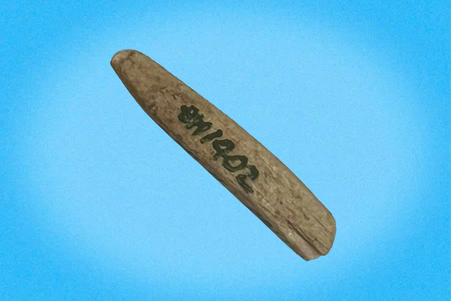 Mũi lao xương