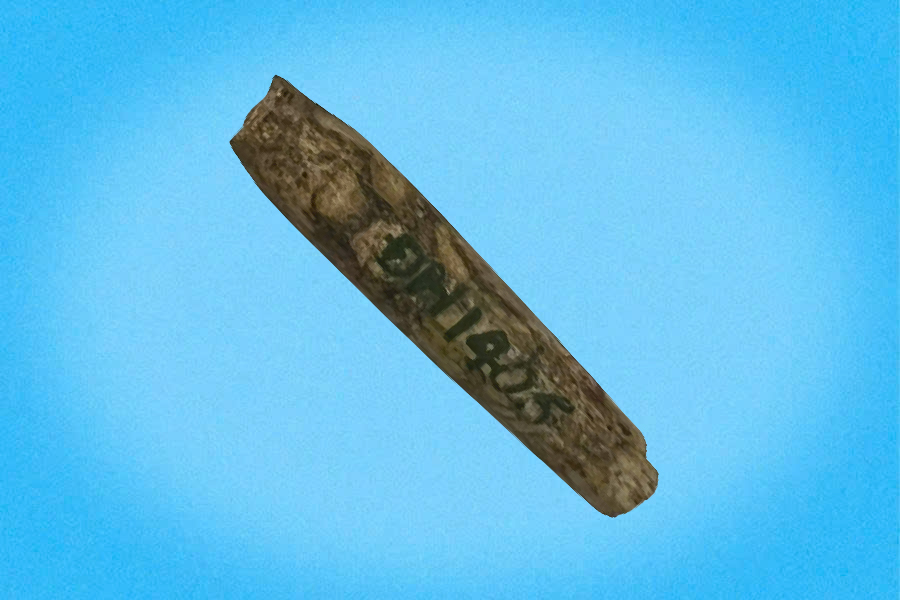 Mũi lao xương