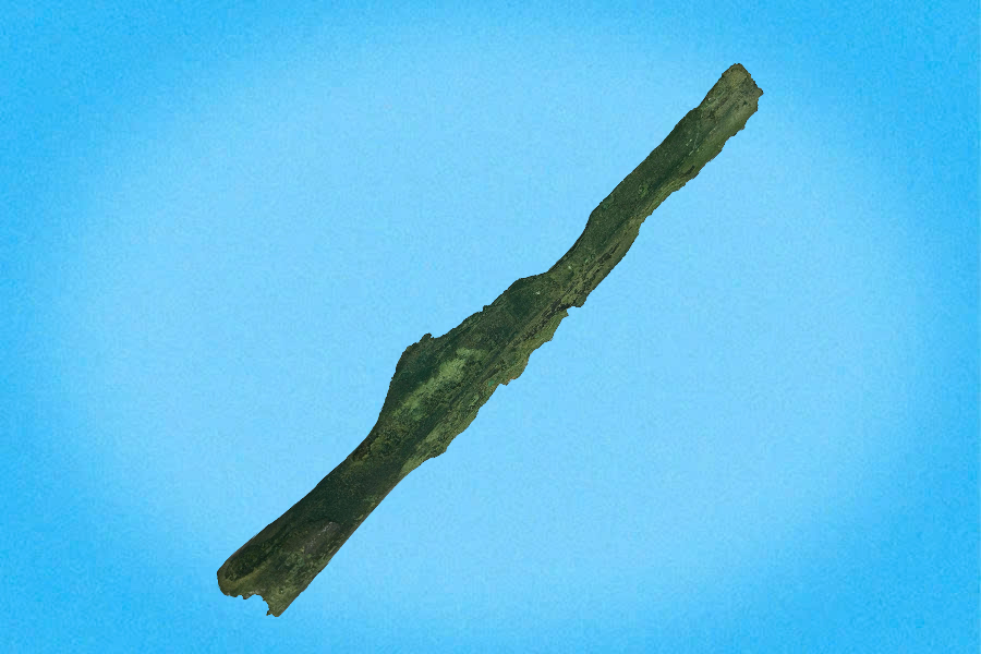 Giáo đồng