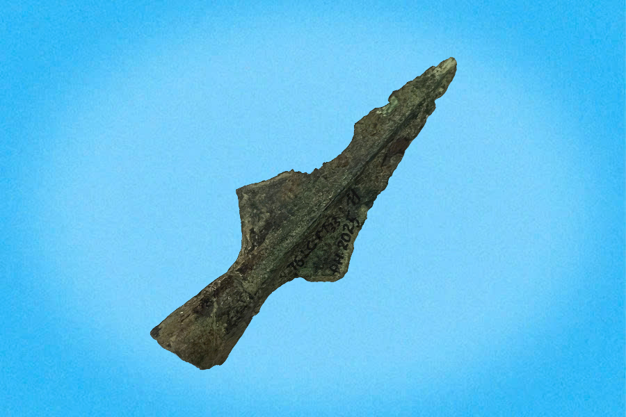 Giáo đồng