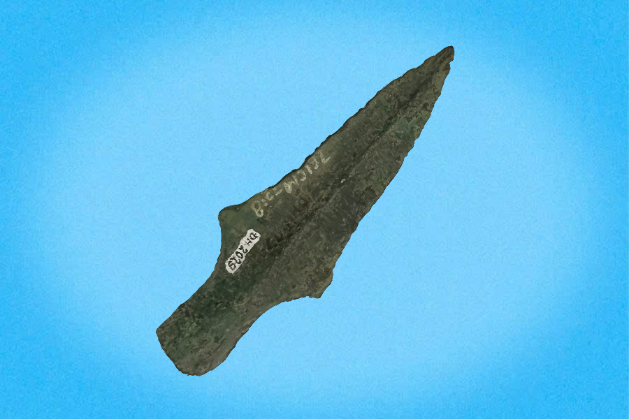 Giáo đồng