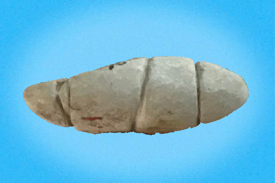 Chì lưới