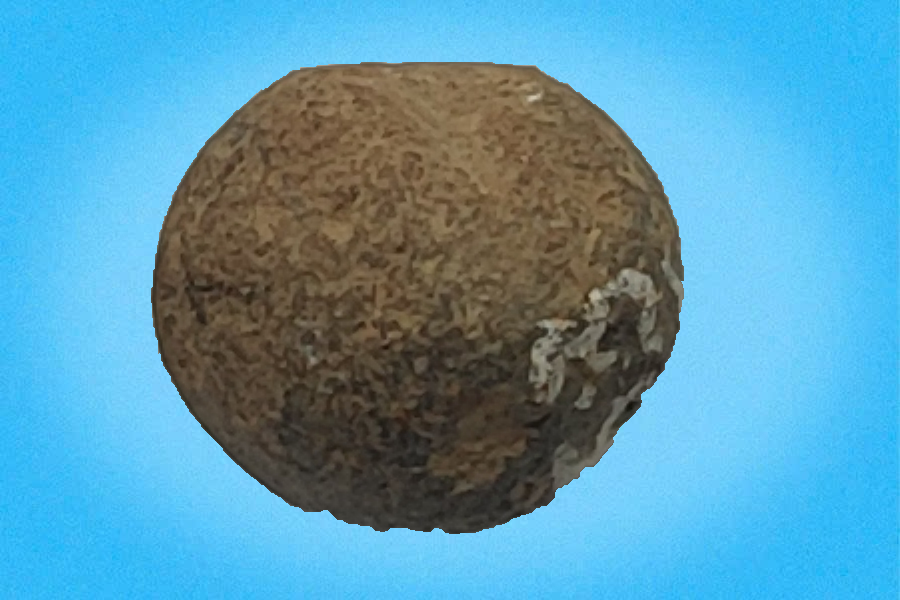 Bi gốm