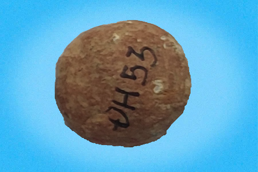 Bi gốm