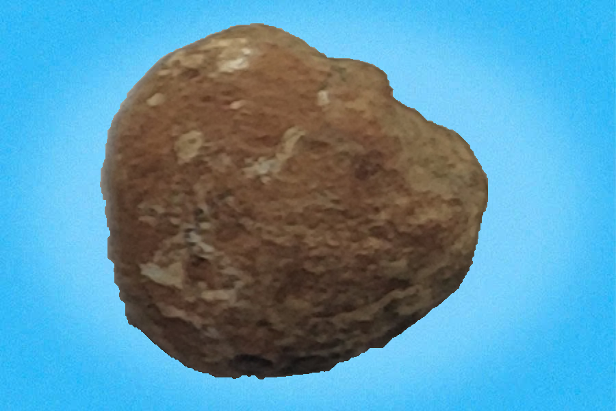Bi gốm